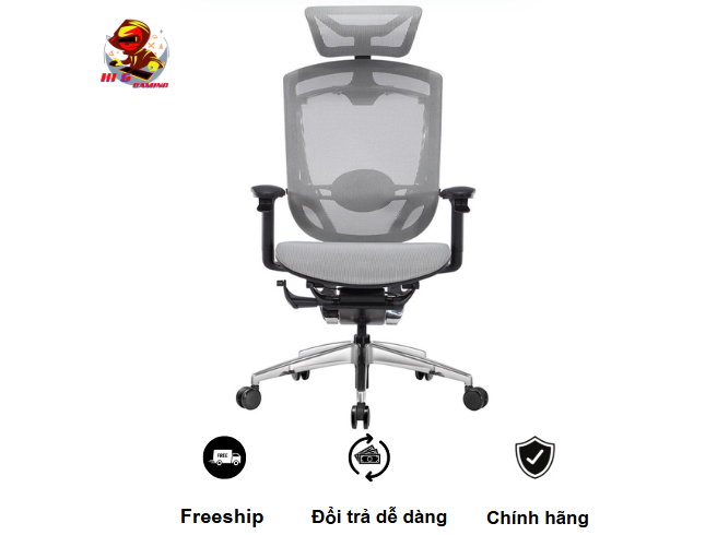 Ghế Công Thái Học