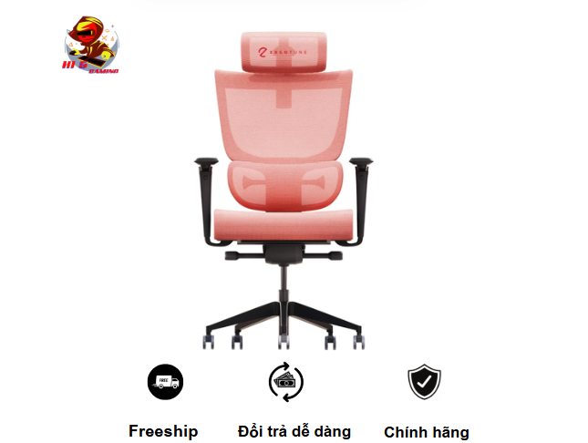 Ghế Công Thái Học