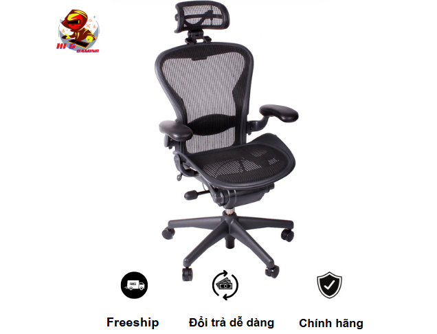 Ghế Công Thái Học